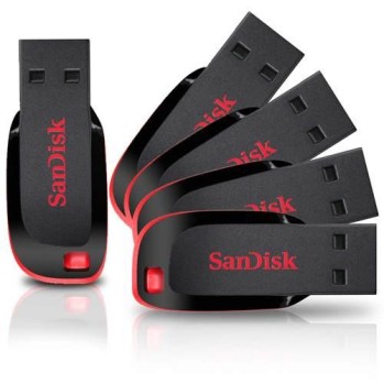 sandisk-cruzer-blade-usb-flash-drive-16gb-sdcz50-016g-e11-14